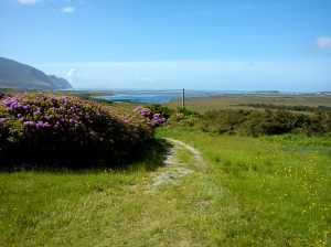 View from my house on Achill