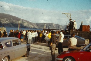 Waiting to "hang" the shark
