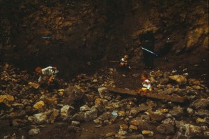 Looking for treasure!